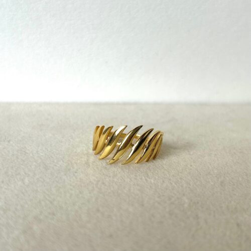 Golden Ring 47