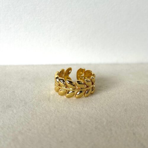 Golden Ring 55